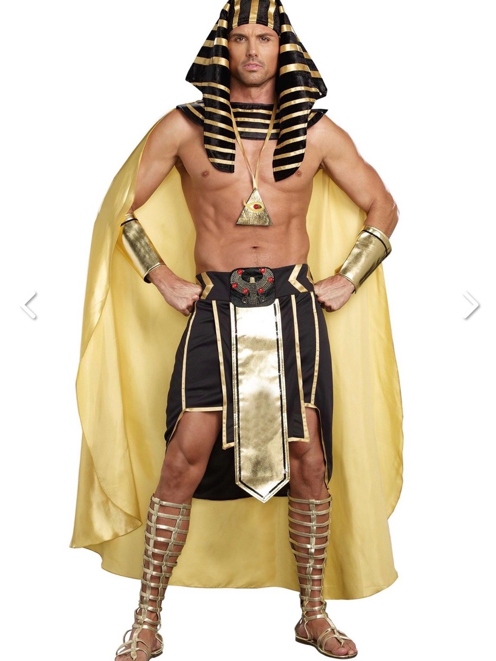 Men's King of Egypt, Pharaoh Halloween Costume